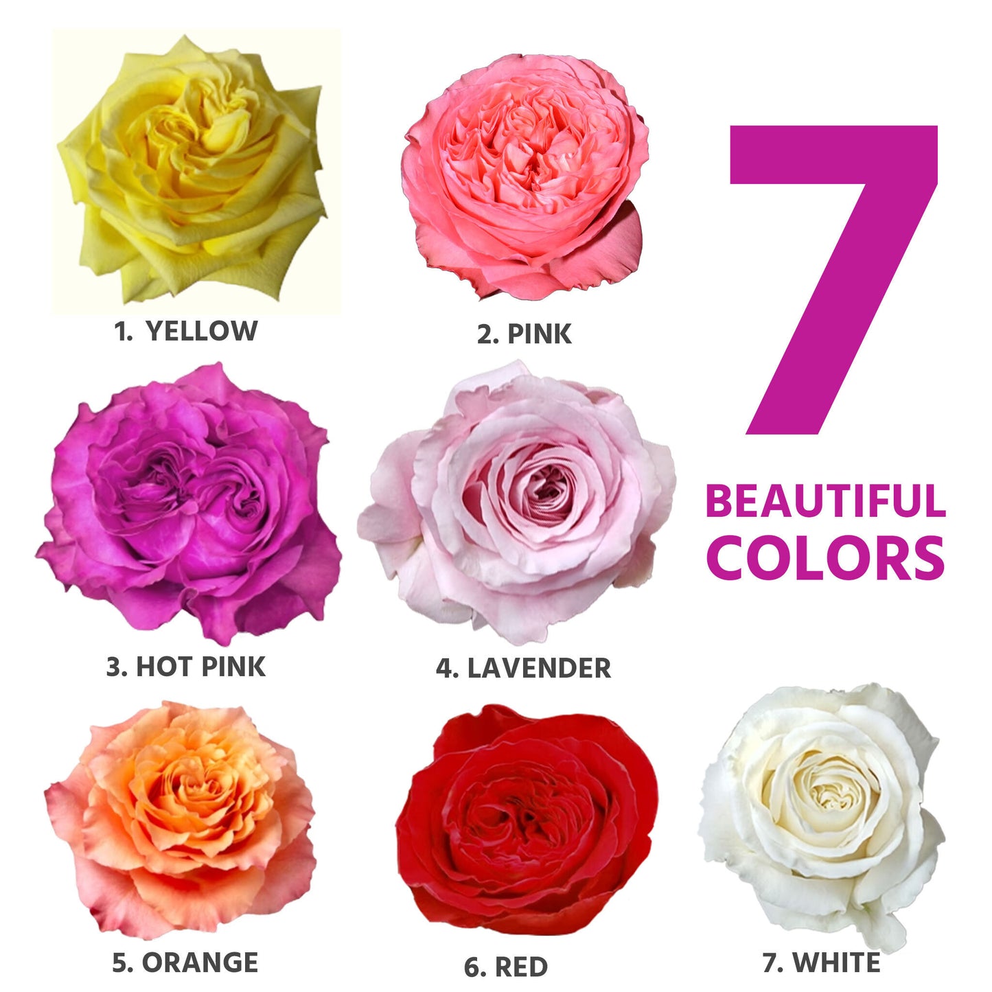 Mixed Flower Arrangements with EazyVase (Box of 6 units)