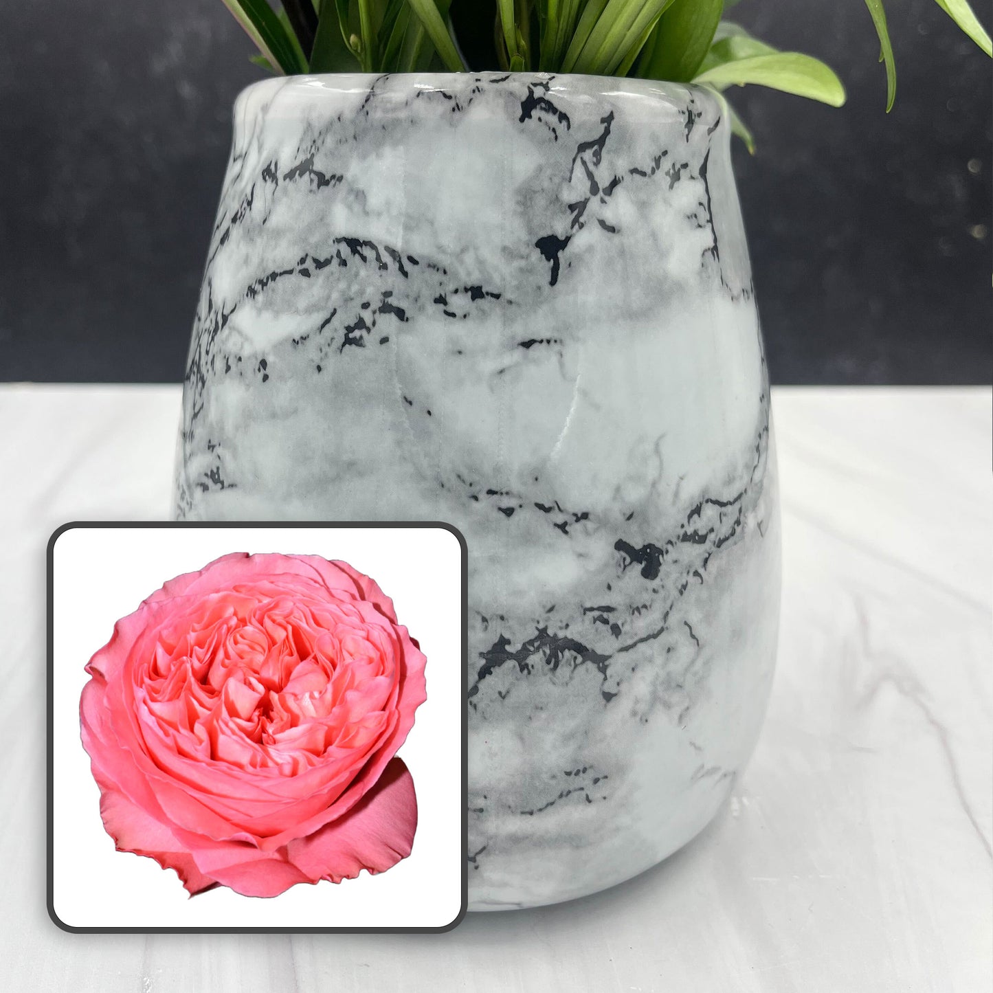 Garden Rose Arrangements with EasyVase (Box of 6)