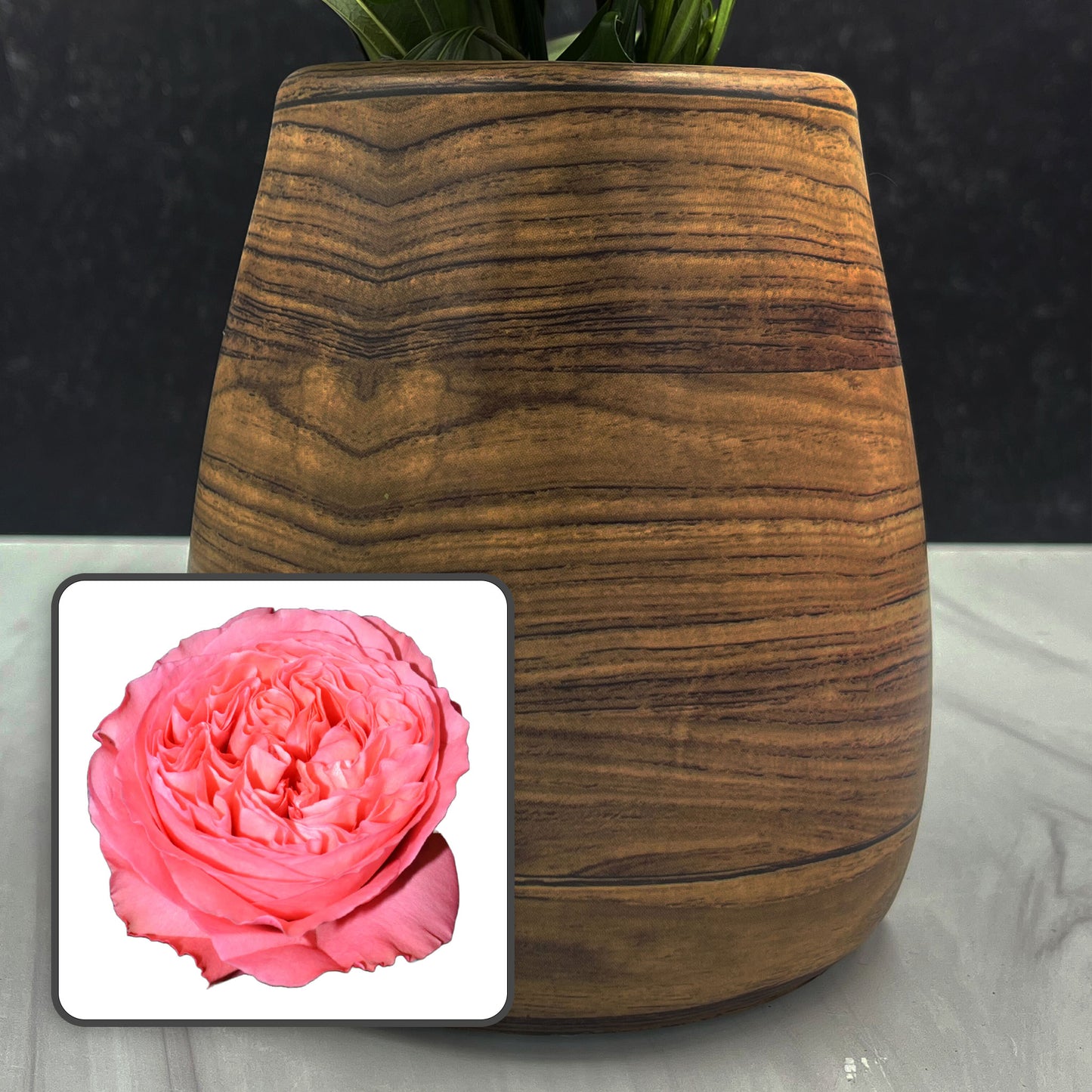 Garden Rose Arrangements with EasyVase (Box of 6)
