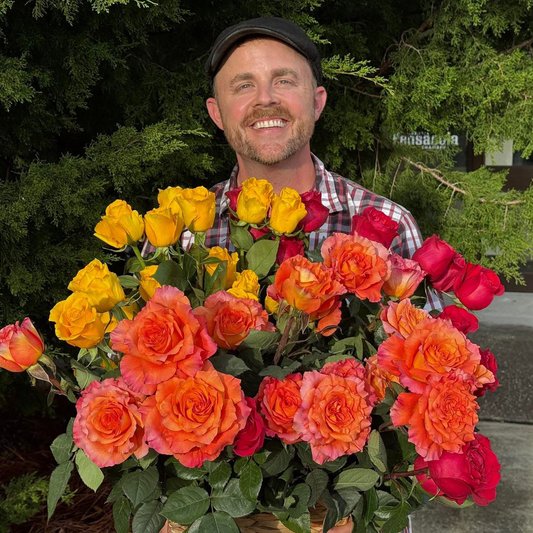 50 Fresh Roses: Warm Assortment