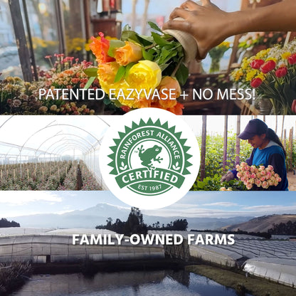 Christmas Non-Spill EazyVase Arrangements (Box of 6)