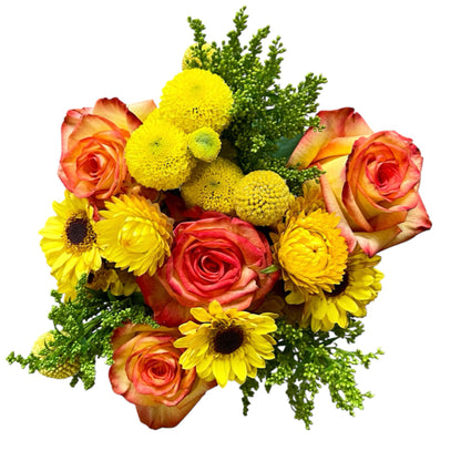 Fall EazyVase Assortment (Box of 6)