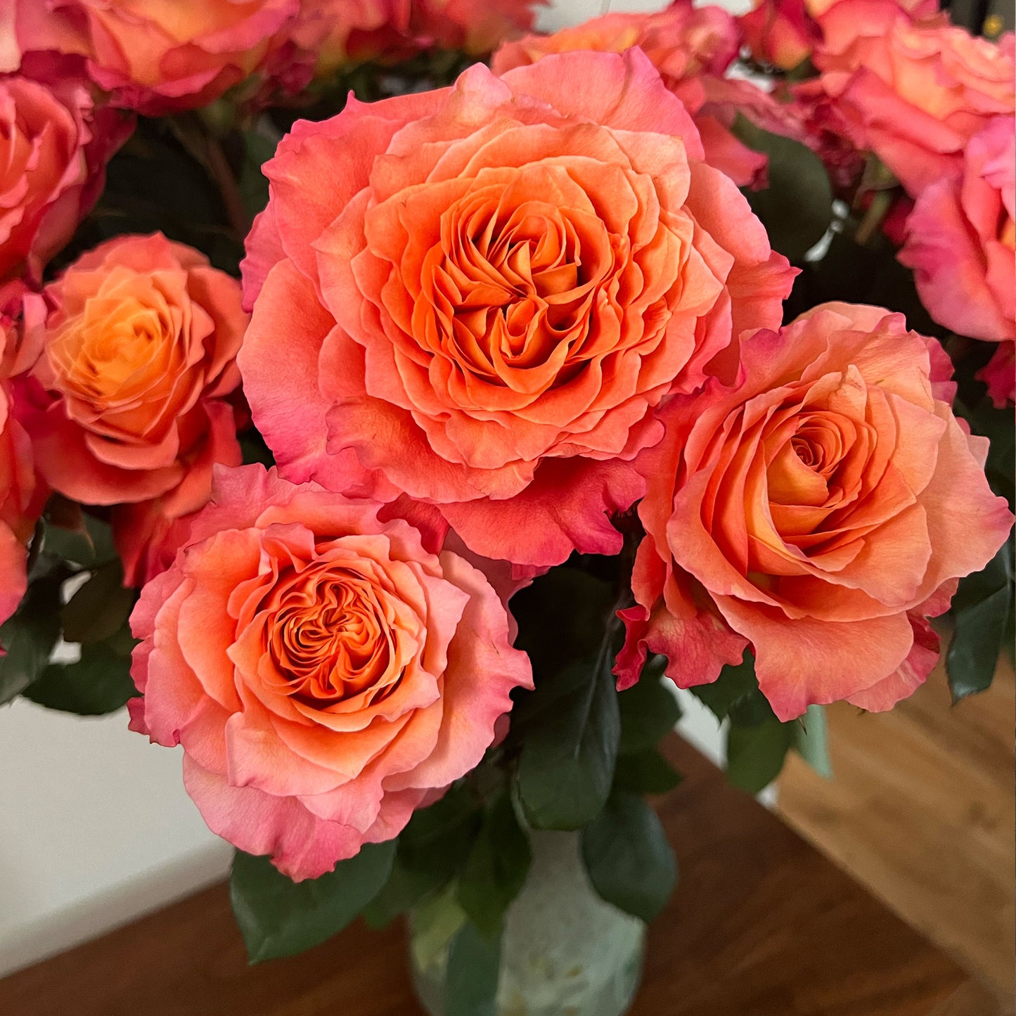 50 Free Spirit Garden Roses: Perfect for Any Occassion