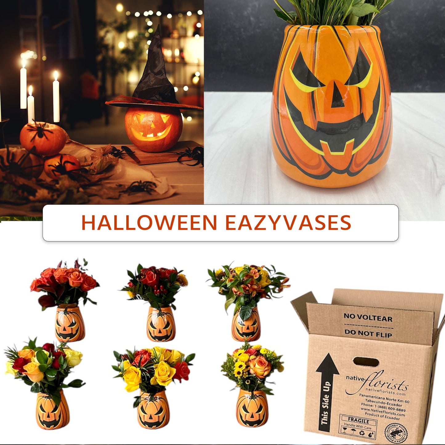 Halloween EazyVase Arrangements (Box of 6)